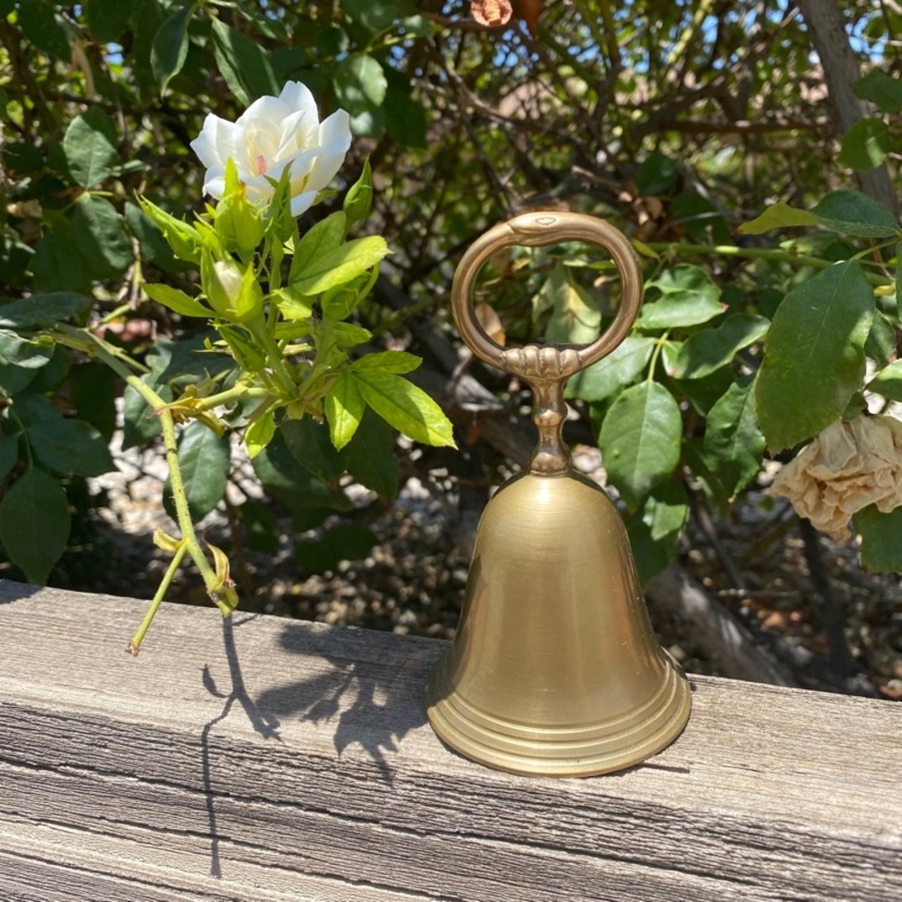 xSOLDx Vintage snake bell